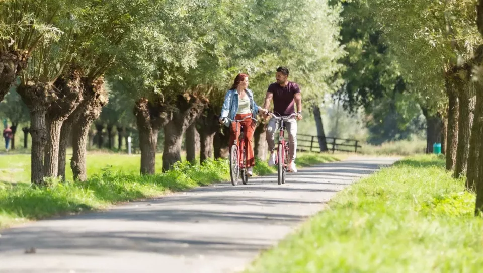 Fietsen 